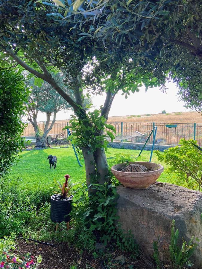 Julie'S Cabins Neot Golan Εξωτερικό φωτογραφία